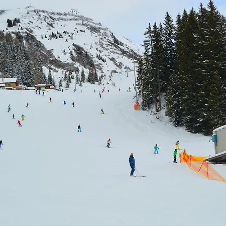 Schooren Des Alpes